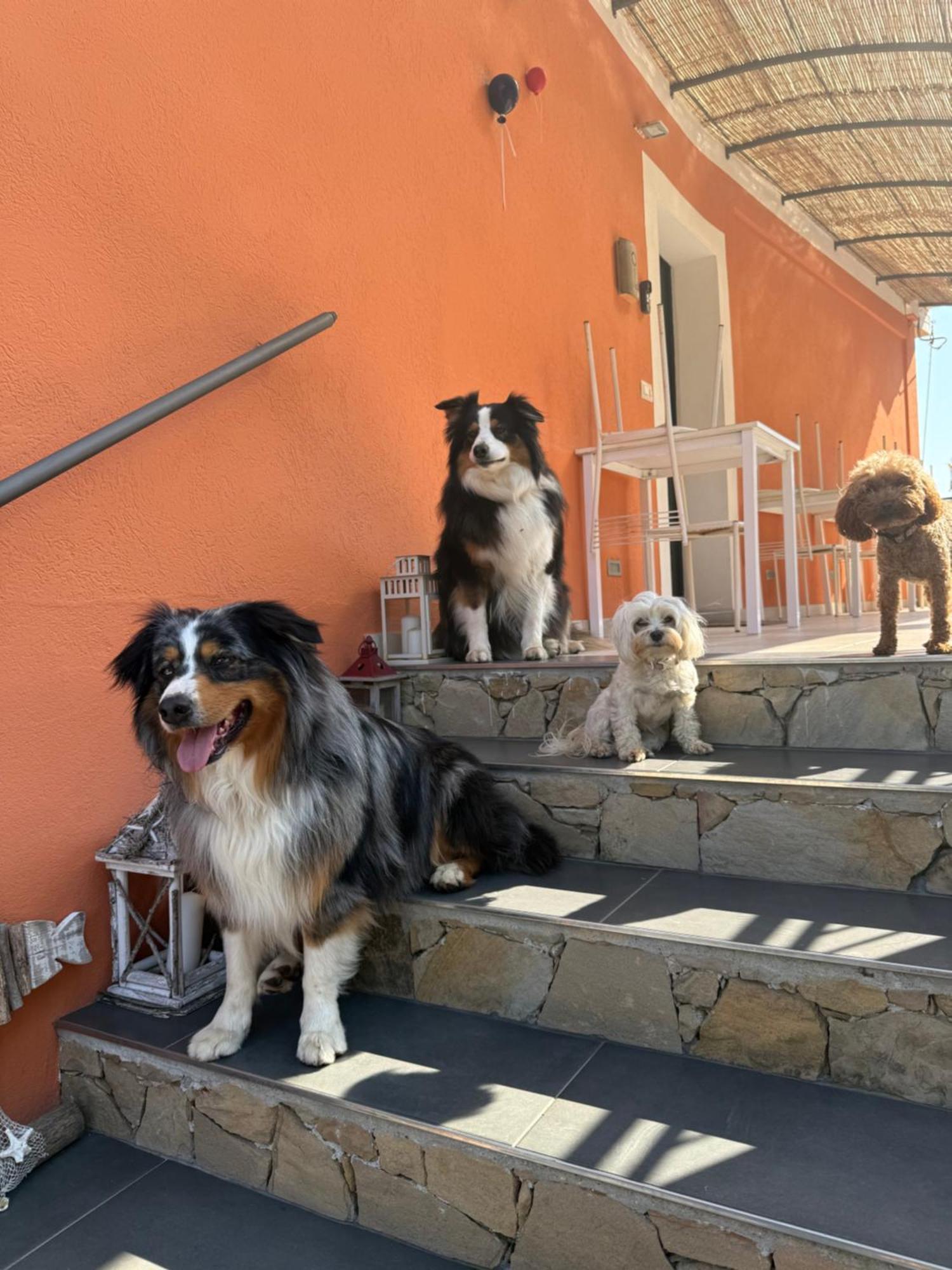 Agriturismo Un Mare Di Fiori Ventimiglia Zewnętrze zdjęcie
