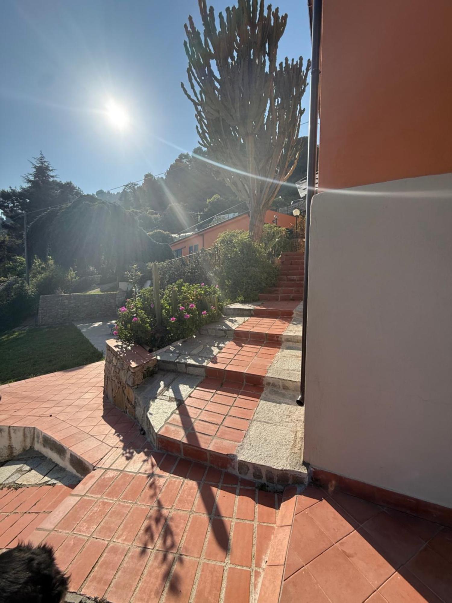 Agriturismo Un Mare Di Fiori Ventimiglia Zewnętrze zdjęcie