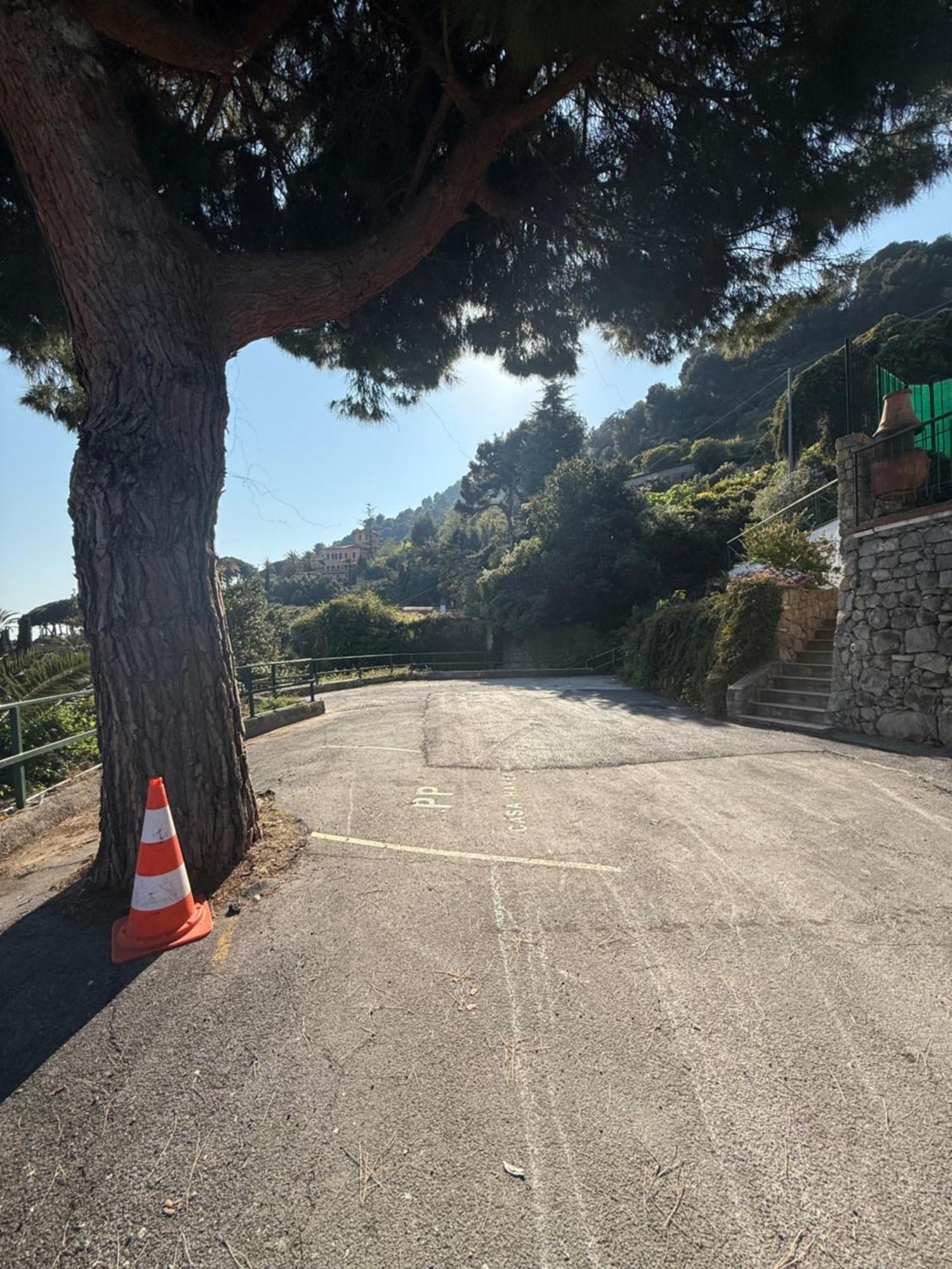 Agriturismo Un Mare Di Fiori Ventimiglia Zewnętrze zdjęcie